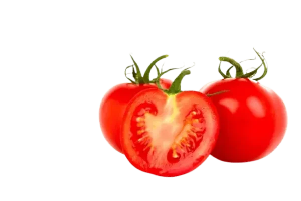 Tomato