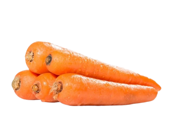 Carrot